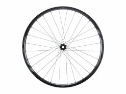 Roues VTT GIANT TRX 1 29" Boost